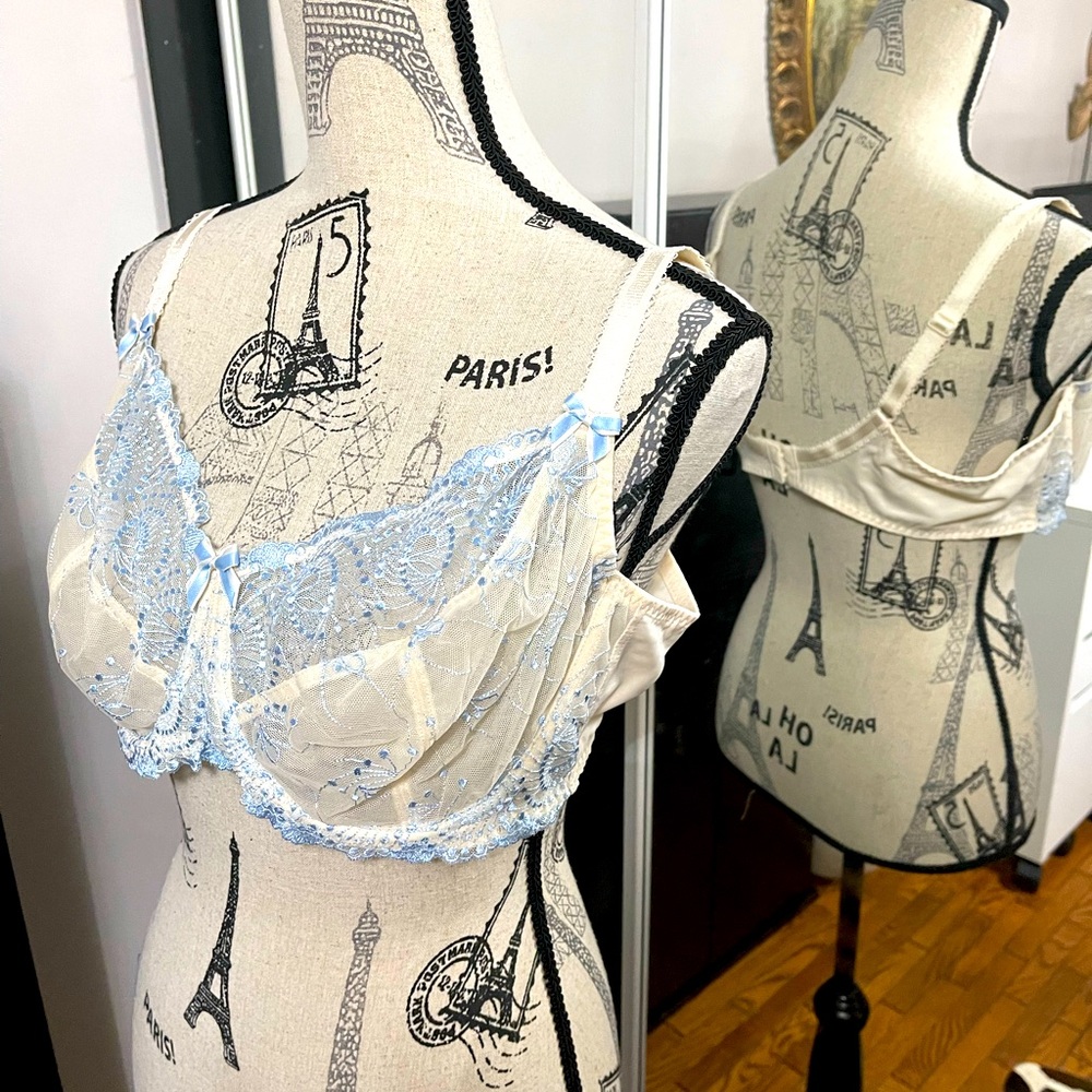 Fit fully yours blue lace bra 42d